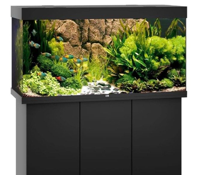 Juwel Rio 350 Svart